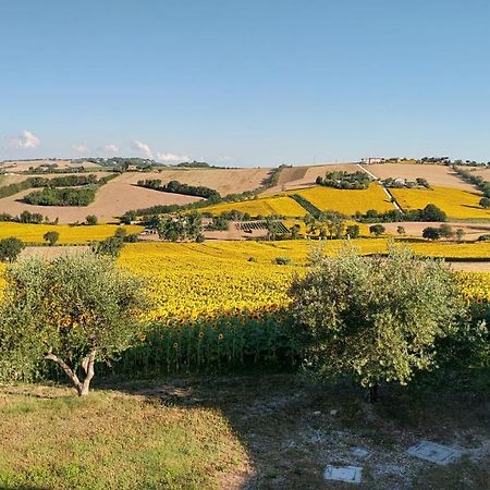 Agriturismo Vallelunga Ancona Exterior foto