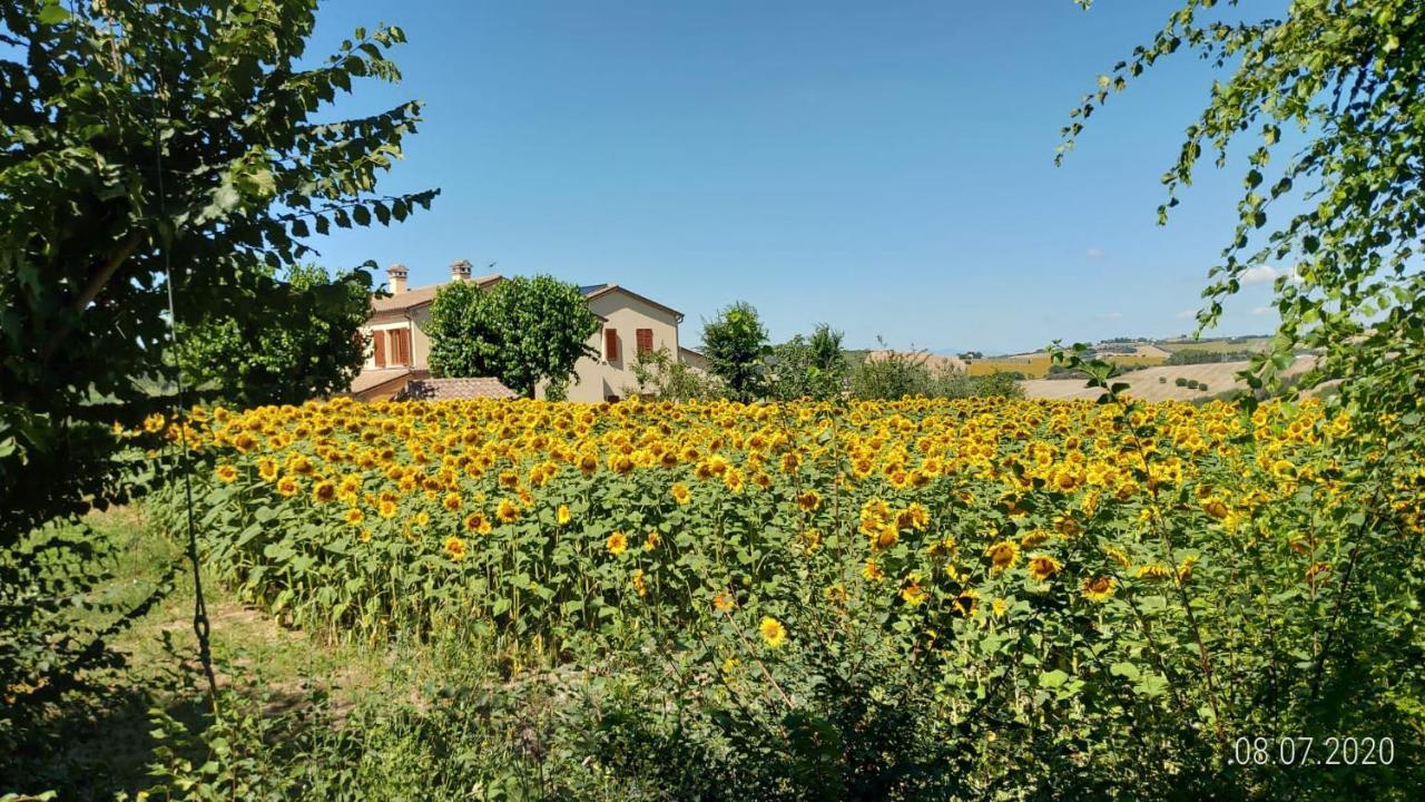 Agriturismo Vallelunga Ancona Exterior foto